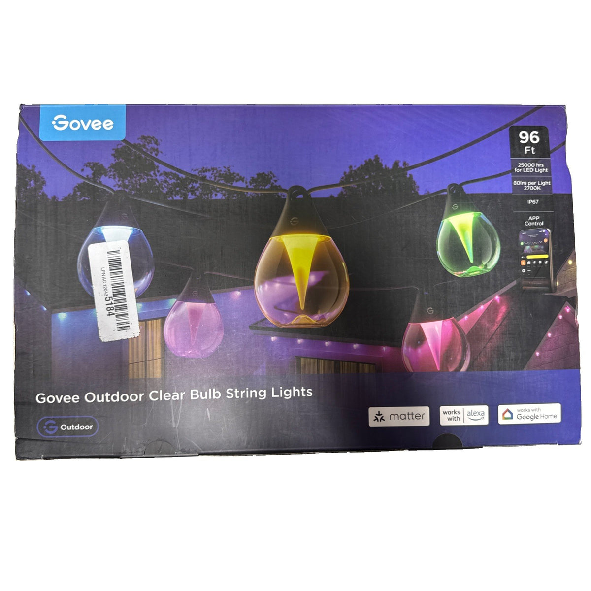 Govee Clear Bulb String Lights H7026 96 Ft Outdoor Use