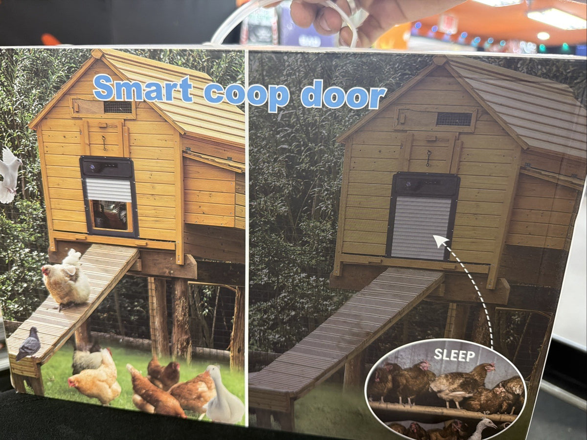 Smart Coop Door 