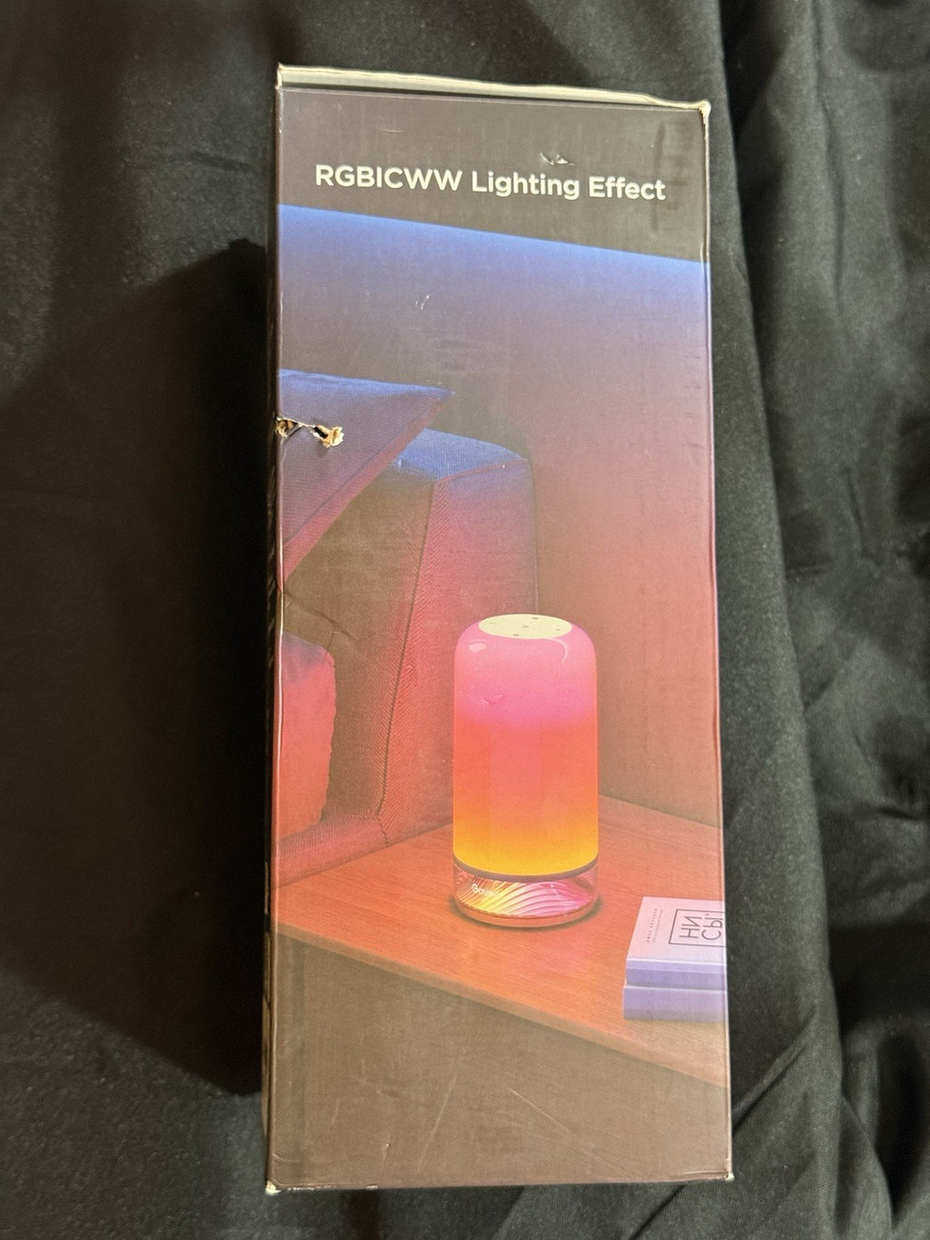 Govee Smart Table Lamp 2 (Model H6022) RGBICWW Works with Alexa, Google, Matter